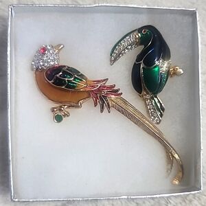 Vintage Parrot Brooch Set